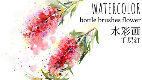 How to paint the bottle brushes flower (Callistemon) with watercolor ...