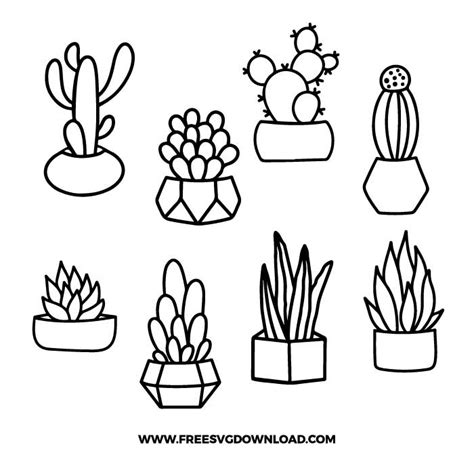 Succulent Bundle SVG & PNG free cut files | Free SVG Download