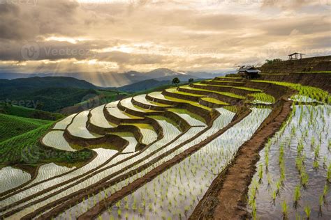 Terraced Rice Field in Mae Cham, Chiangmai, Thailand. 1185643 Stock ...