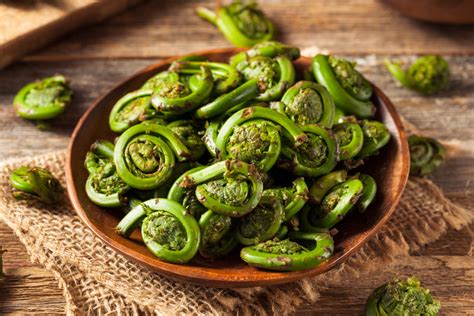 How to Cook Fiddlehead Ferns - Edible Communities