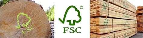 FSC (Forest Steward Council) Information For Designers | JUST™ Creative