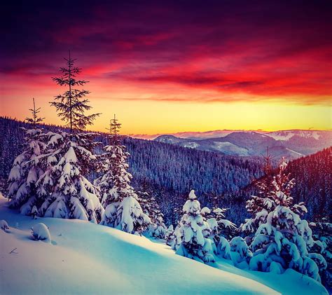 Winter Landscape, landscape, winter, HD wallpaper | Peakpx