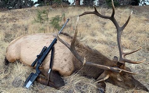 Best Elk Hunting Rifles of 2022 | Outdoor Life