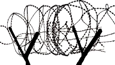 Download Razor Wire Png - Razor Wire Fence Transparent - ClipartKey