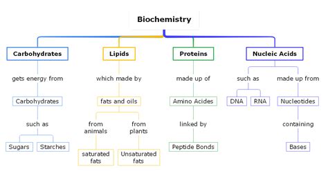 Biology Concept Map Complete Guide with 30+ Examples | EdrawMind