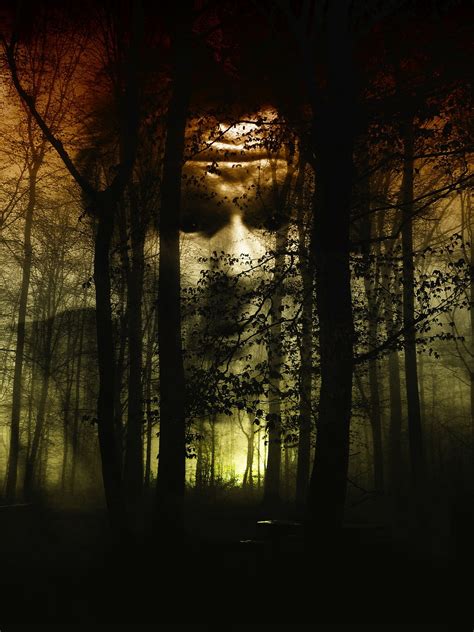 Forest,face,fog,horror,disgust - free image from needpix.com