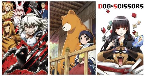 Furry Anime | 15 Best Recommendations - LAST STOP ANIME