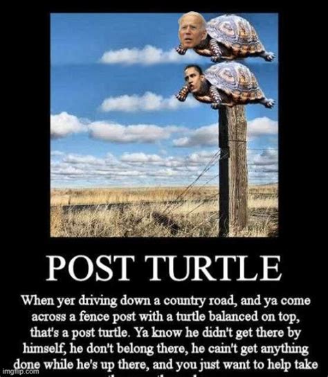 Post Turtles | Political Talk