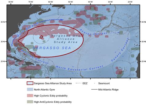 Sargasso Sea Study Map — Yacht Charter & Superyacht News