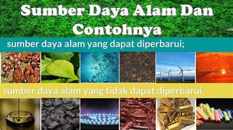 Sumber Daya Alam dan Contohnya - YouTube