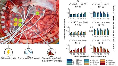 Direct electrical stimulation of the human brain has inverse effects on ...