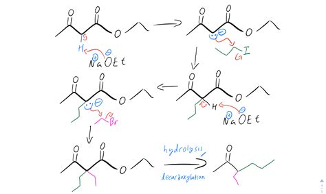 Acetoacetic Ester Synthesis - Organic Chemistry Video | Clutch Prep