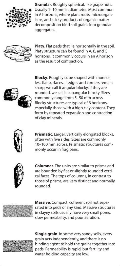 Granular Soil Structure