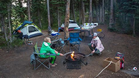 Is Tent Camping Safe in Yellowstone? - Camping Your Way