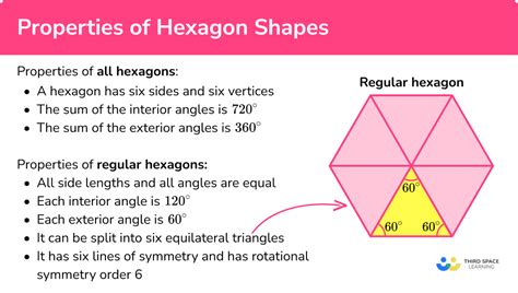 Hexagon Shape - GCSE Maths - Steps, Examples & Worksheet