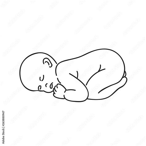 sleeping baby outline hand drawing isolated on white background vector ...