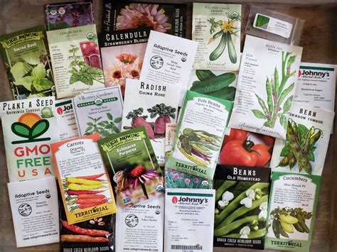 12 Places to Buy Organic, Heirloom, & Non-GMO Garden Seeds ~ Homestead ...