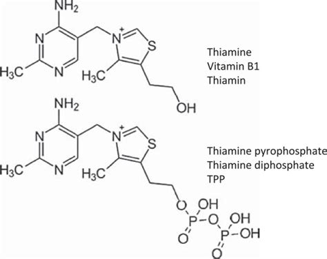 Chemical structures of thiamine (vitamin B1; thiamin) and the active ...