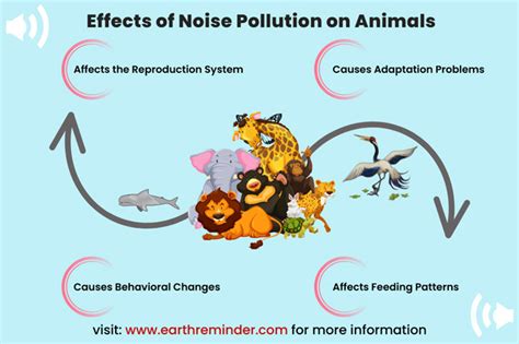 Effects Of Noise Pollution On Wildlife