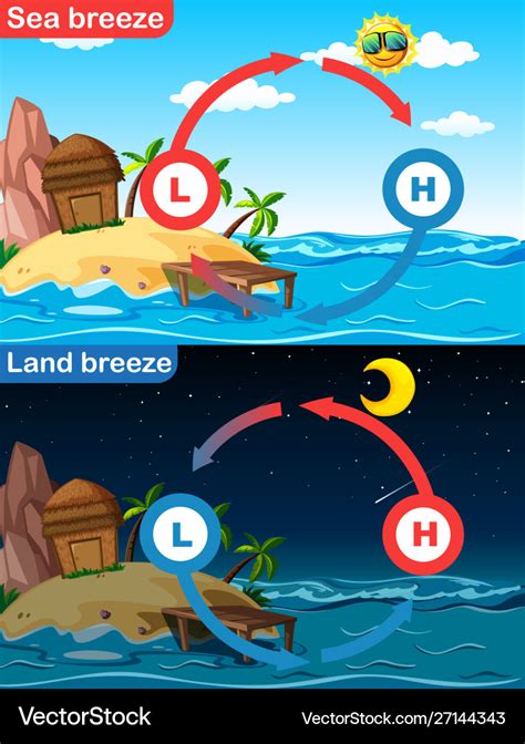 Diagram showing sea and land breeze Royalty Free Vector