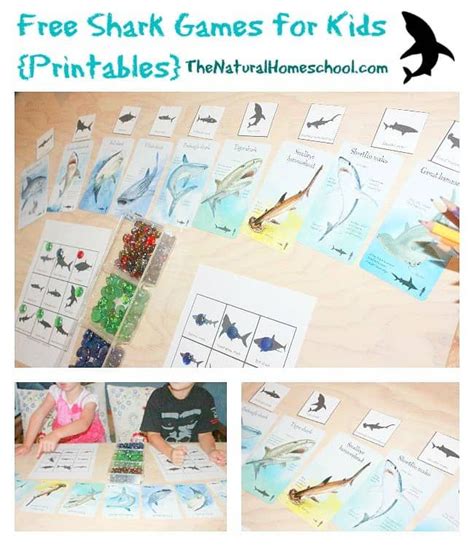 Free Shark Games for Kids {Printables} - The Natural Homeschool | Shark ...