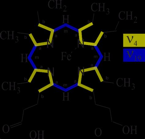 Structure formula of the prosthetic hemoglobin group -the heme B. The ...