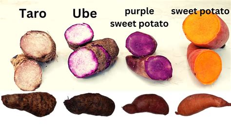 What's the difference between Taro, Ube(purple yam), Purple sweet ...