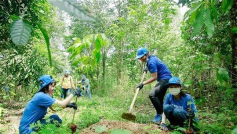 Plantation d’un milliard d’arbres