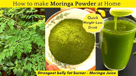 HOW TO MAKE MORINGA POWDER AT HOME | STRONGEST BELLY FAT BURNING DRINK ...