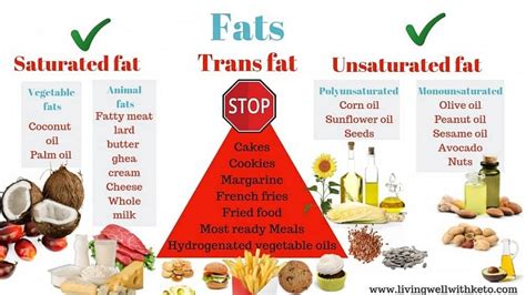 Saturated Fat Foods