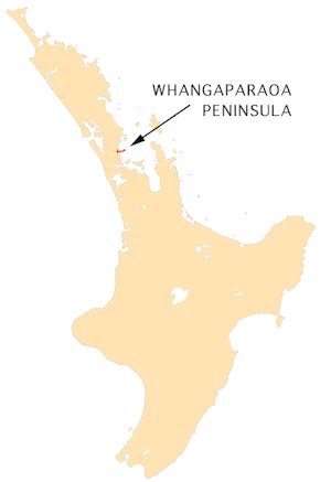 Whangaparaoa Peninsula Facts for Kids