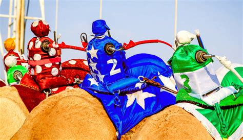 Everything You Need To Know About Camel Racing