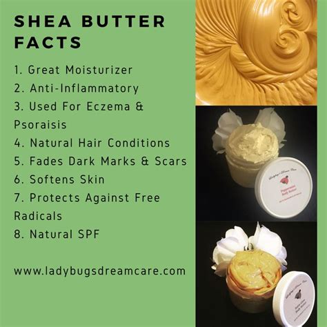 Shea Butter Benefits i 2024