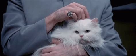 Dr Evil Stroke GIF - Dr Evil Stroke Cat - Discover & Share GIFs