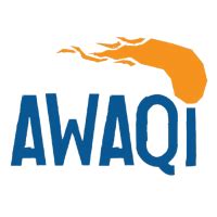 Awaqi – Opening up your mind