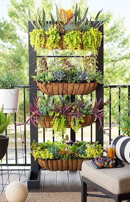 Balcony Garden Diy - Garden Plant