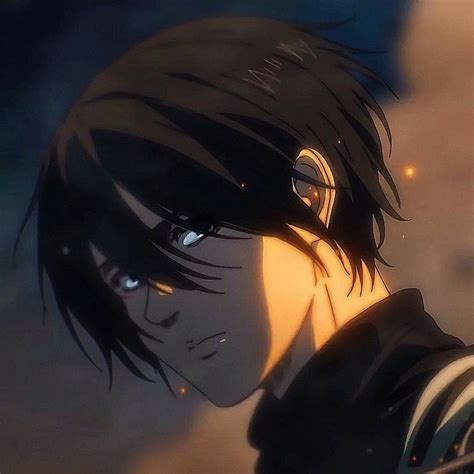 Mikasa Pfp Season 4