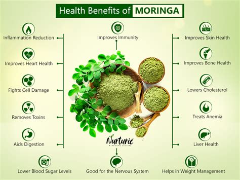 Moringa Benefits – Prevent & Treat Over 300 Diseases with Moringa Leaves