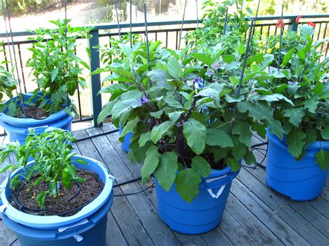 Container Gardening - Bosque