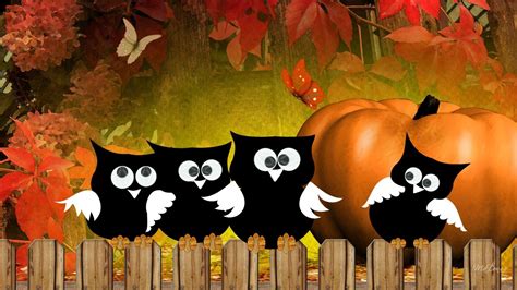 Halloween Owl Wallpapers - Wallpaperboat