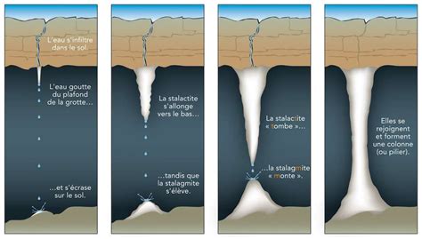 Stalagmite | Les infiltrés, Geologie, Colonnes