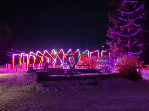 Enjoy Calgary's Biggest Holiday Light Display at ZOOLIGHTS - Play ...