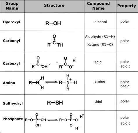 6. Organic Chemistry | OpenStax Biology