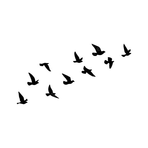 Flying Birds Silhouette, Silhouette, Flying Birds, Bird PNG and Vector ...