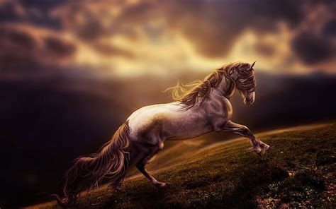 Running horse, wildlife, blur, art, dom, horse, HD wallpaper | Peakpx