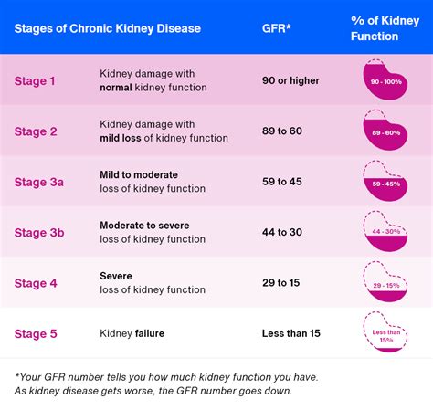 Kidney Health Basics: Stages of Kidney Disease – Teladoc Health, Inc.