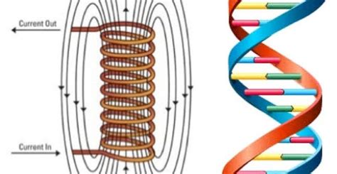 6th Sense: Are We Communicating Using Invisible Light? Biophotons and ...