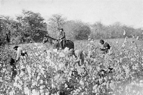 Storytelling + Research = LoiS: Slave Cotton