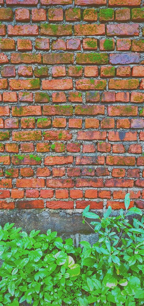 Nature Wall Art, brick, bricks, brown, green, texture, walls, HD phone ...