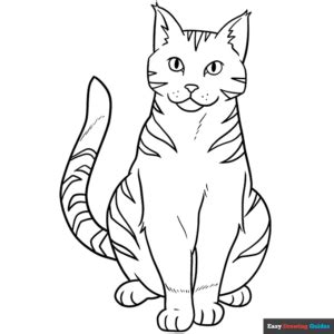 Orange Tabby Cat Coloring Page | Easy Drawing Guides